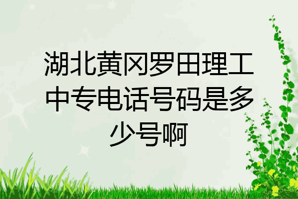 湖北黄冈罗田理工中专电话号码是多少号啊