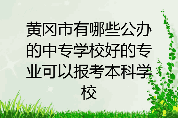 黄冈市有哪些公办的中专学校好的专业可以报考本科学校