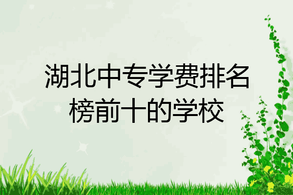 湖北中专学费排名榜前十的学校
