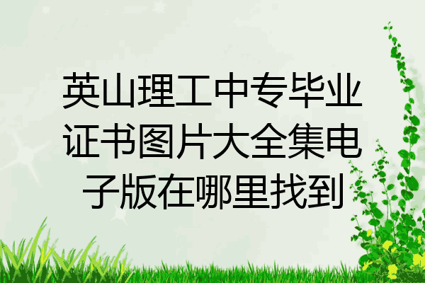 英山理工中专毕业证书图片大全集电子版在哪里找到