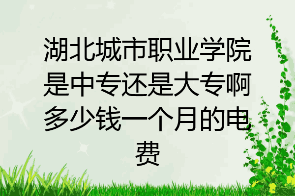 湖北城市职业学院是中专还是大专啊多少钱一个月的电费