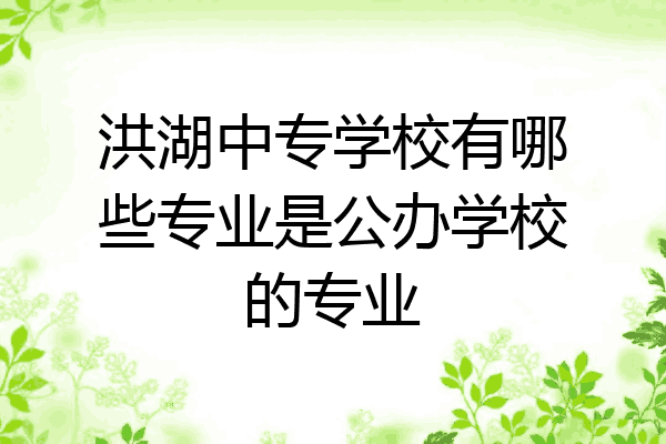 洪湖中专学校有哪些专业是公办学校的专业