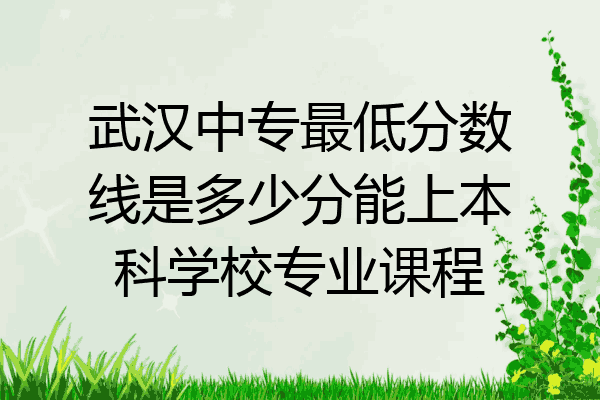 武汉中专最低分数线是多少分能上本科学校专业课程