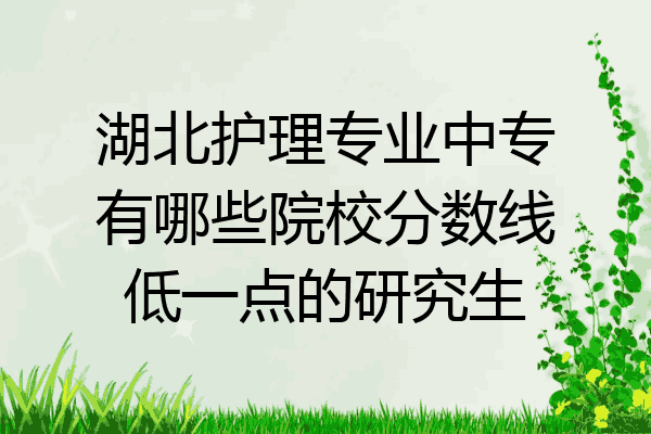 湖北护理专业中专有哪些院校分数线低一点的研究生