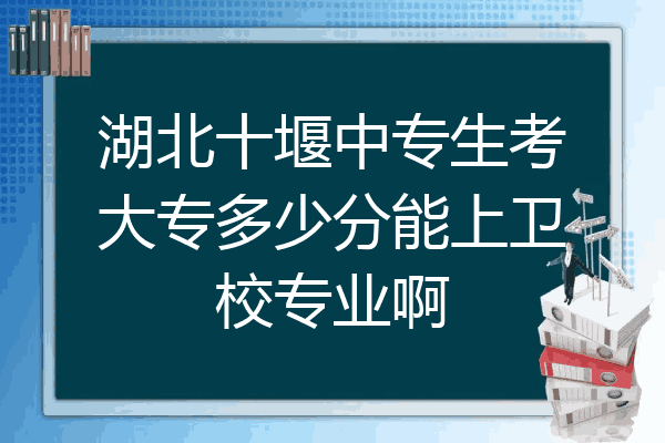 湖北十堰中专生考大专多少分能上卫校专业啊