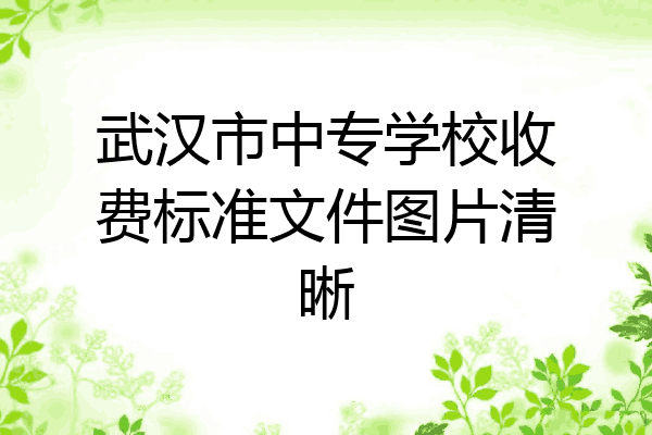 武汉市中专学校收费标准文件图片清晰