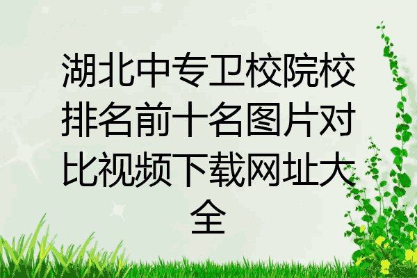 湖北中专卫校院校排名前十名图片对比视频下载网址大全