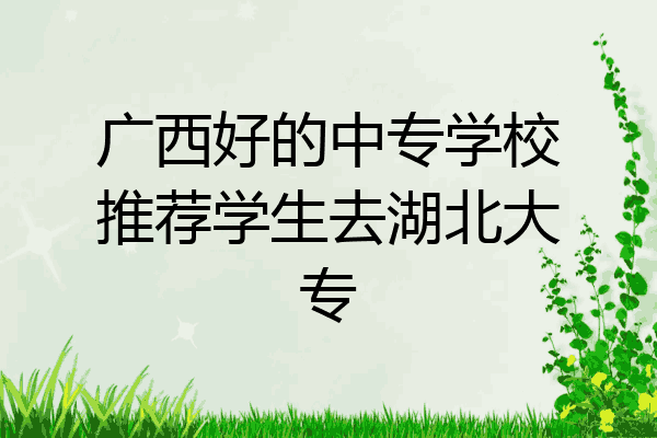 广西好的中专学校推荐学生去湖北大专