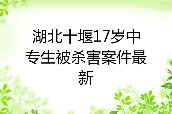 湖北十堰17岁中专生被杀害案件最新