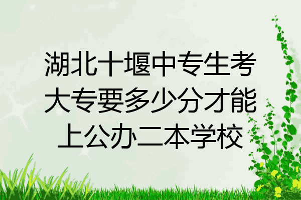 湖北十堰中专生考大专要多少分才能上公办二本学校