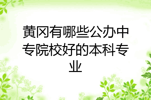 黄冈有哪些公办中专院校好的本科专业