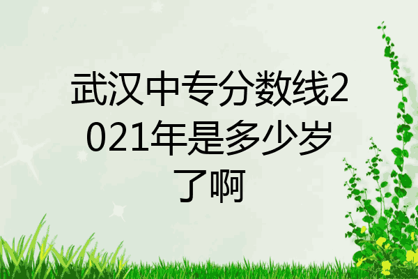 武汉中专分数线2021年是多少岁了啊