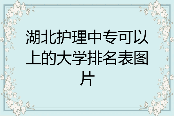 湖北护理中专可以上的大学排名表图片