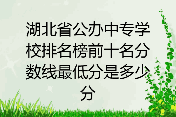 湖北省公办中专学校排名榜前十名分数线最低分是多少分