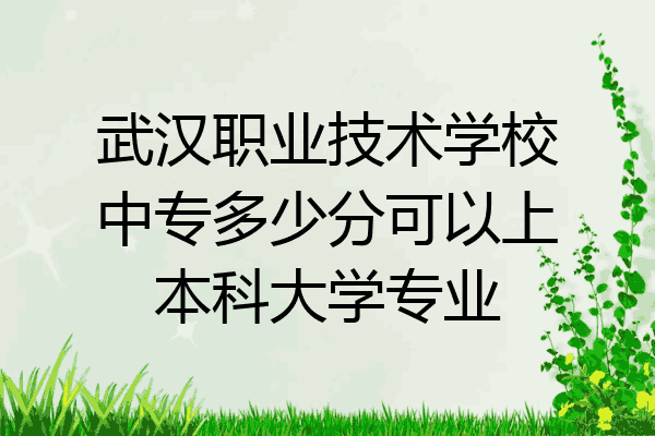 武汉职业技术学校中专多少分可以上本科大学专业