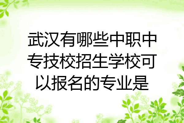武汉有哪些中职中专技校招生学校可以报名的专业是