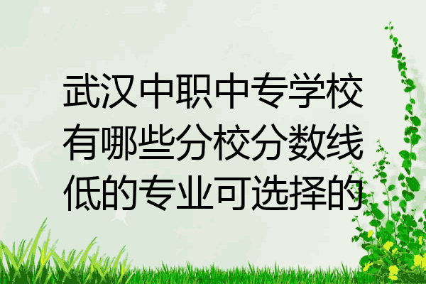 武汉中职中专学校有哪些分校分数线低的专业可选择的