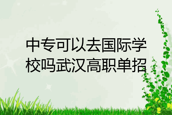中专可以去国际学校吗武汉高职单招