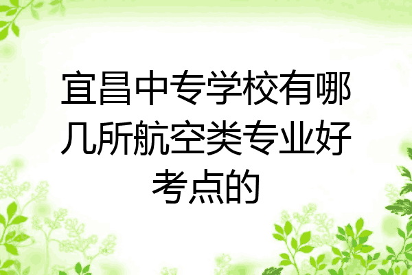 宜昌中专学校有哪几所航空类专业好考点的