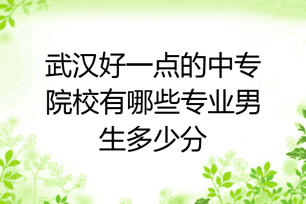 武汉好一点的中专院校有哪些专业男生多少分