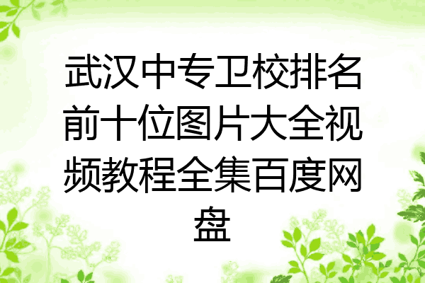 武汉中专卫校排名前十位图片大全视频教程全集百度网盘