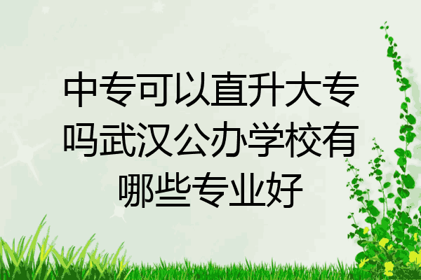 中专可以直升大专吗武汉公办学校有哪些专业好