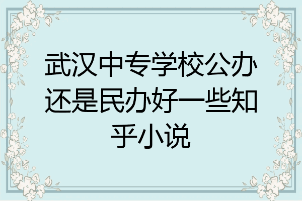 武汉中专学校公办还是民办好一些知乎小说