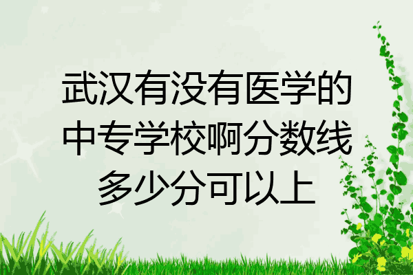 武汉有没有医学的中专学校啊分数线多少分可以上