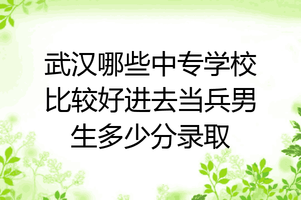 武汉哪些中专学校比较好进去当兵男生多少分录取