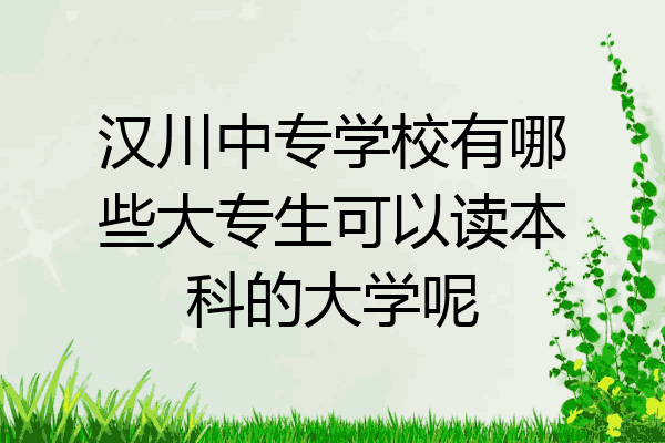 汉川中专学校有哪些大专生可以读本科的大学呢