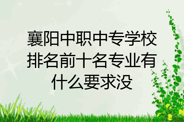 襄阳中职中专学校排名前十名专业有什么要求没