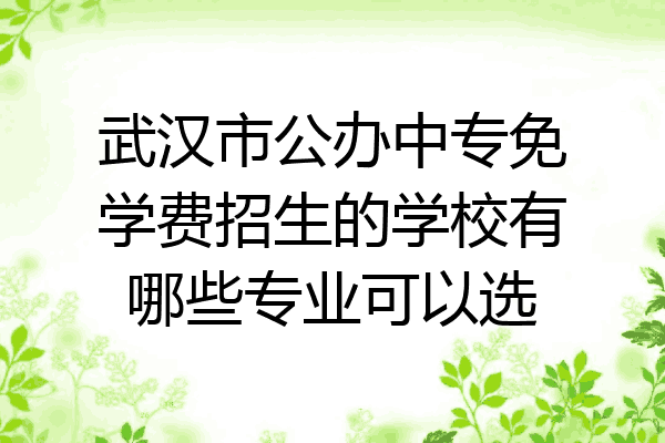 武汉市公办中专免学费招生的学校有哪些专业可以选