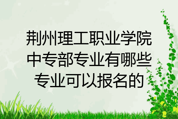 荆州理工职业学院中专部专业有哪些专业可以报名的