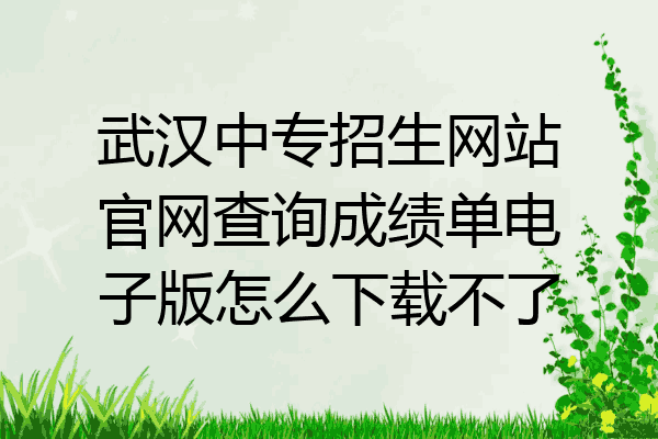 武汉中专招生网站官网查询成绩单电子版怎么下载不了