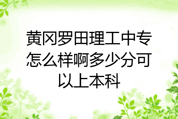 黄冈罗田理工中专怎么样啊多少分可以上本科