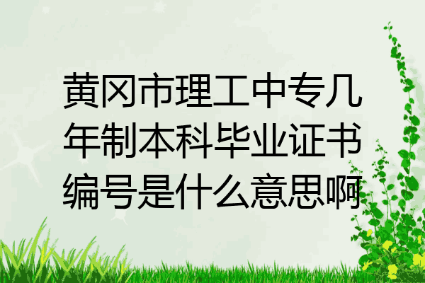 黄冈市理工中专几年制本科毕业证书编号是什么意思啊
