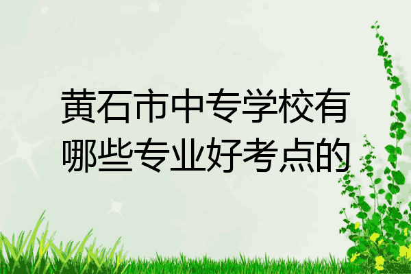 黄石市中专学校有哪些专业好考点的