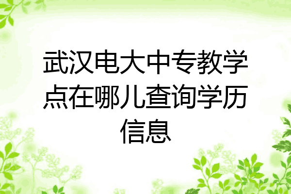 武汉电大中专教学点在哪儿查询学历信息
