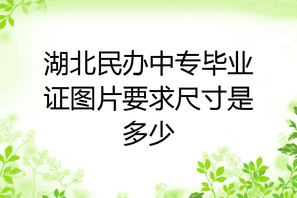 湖北民办中专毕业证图片要求尺寸是多少