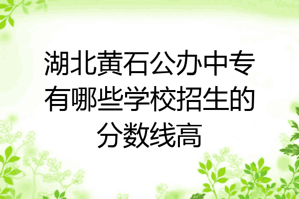 湖北黄石公办中专有哪些学校招生的分数线高