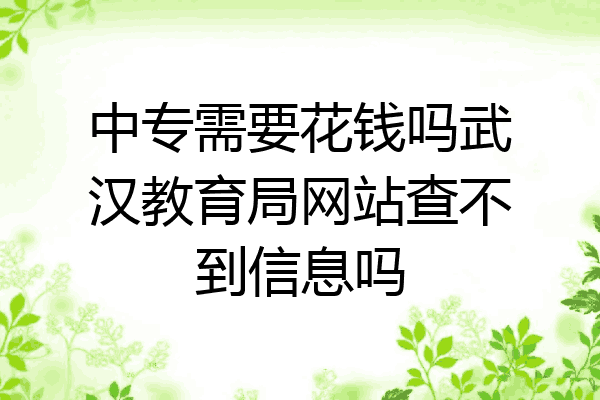 中专需要花钱吗武汉教育局网站查不到信息吗