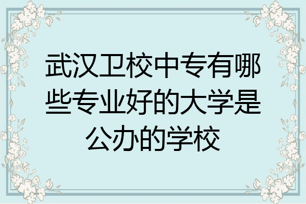 武汉卫校中专有哪些专业好的大学是公办的学校