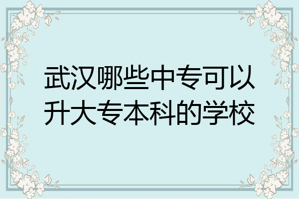 武汉哪些中专可以升大专本科的学校