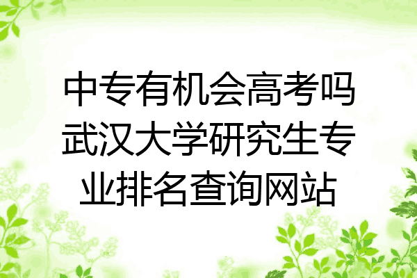 中专有机会高考吗武汉大学研究生专业排名查询网站