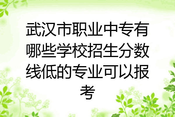 武汉市职业中专有哪些学校招生分数线低的专业可以报考