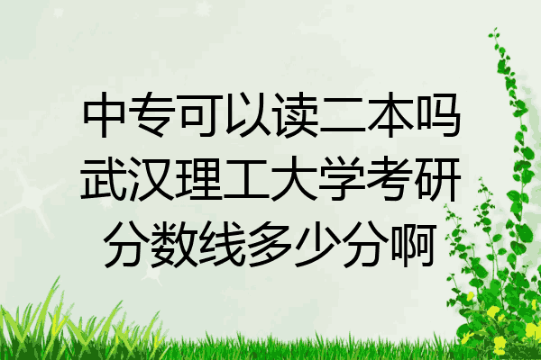 中专可以读二本吗武汉理工大学考研分数线多少分啊