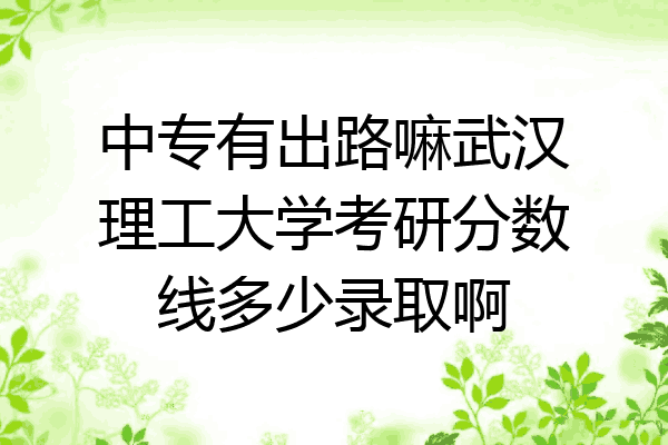 中专有出路嘛武汉理工大学考研分数线多少录取啊