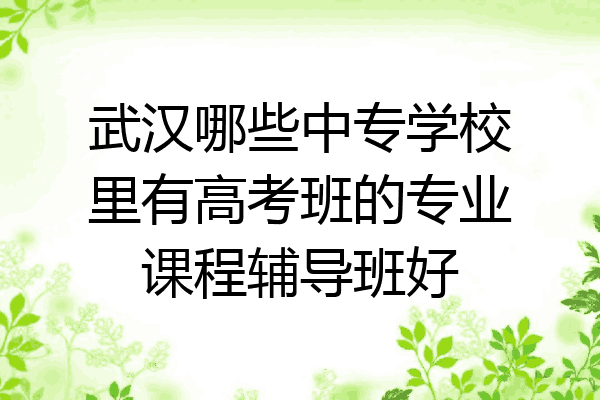 武汉哪些中专学校里有高考班的专业课程辅导班好