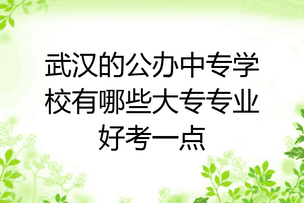 武汉的公办中专学校有哪些大专专业好考一点