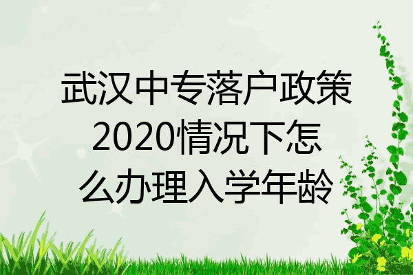 武汉中专落户政策2020情况下怎么办理入学年龄